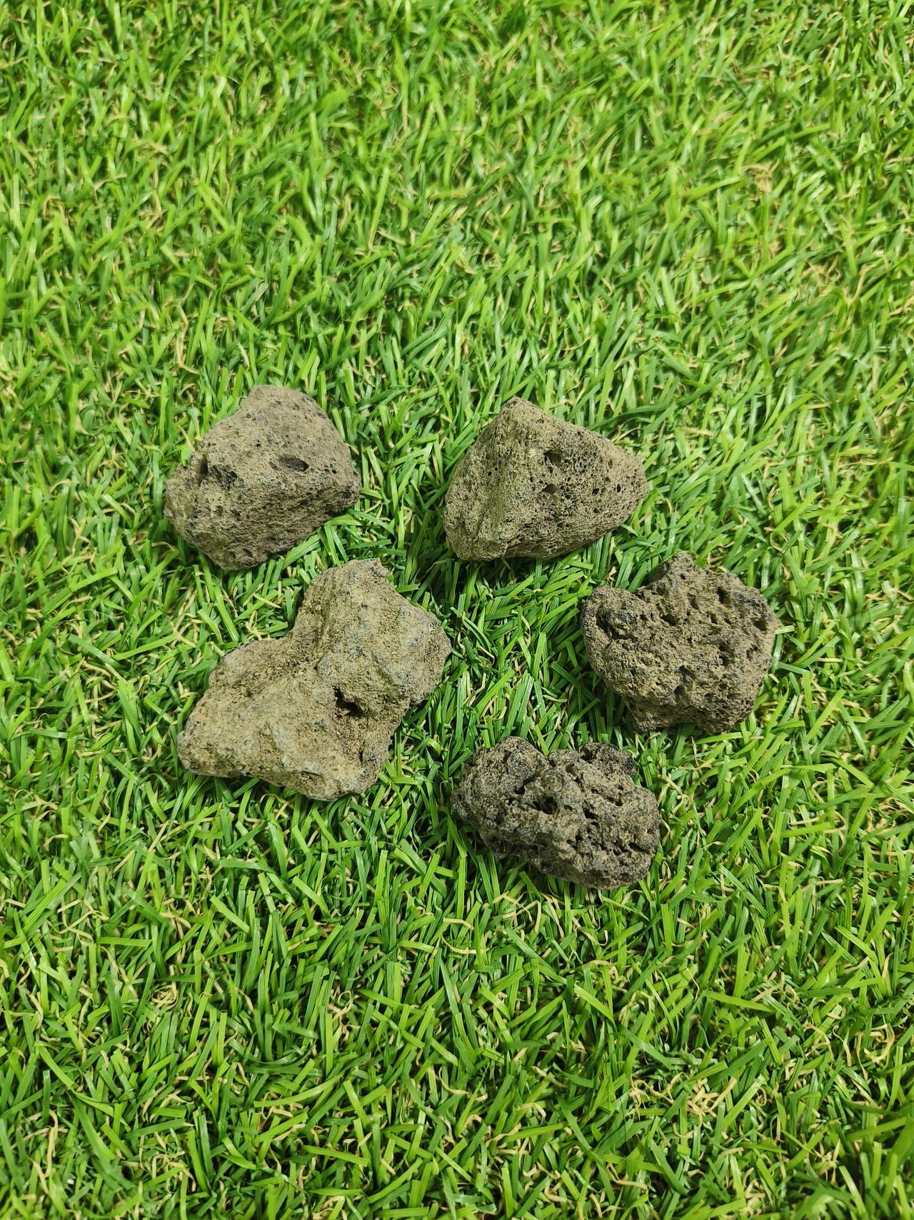 หินภูเขาไฟ 1 ก้อน