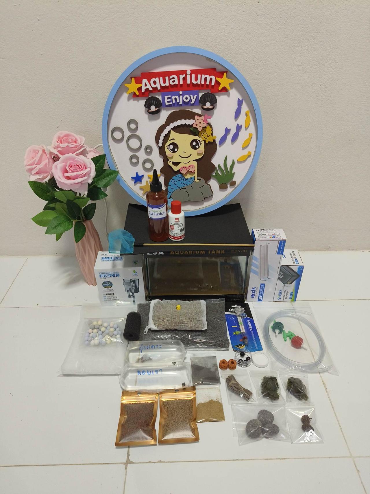 เซ็ตตู้ไม้น้ำ ขนาด 10 นิ้ว