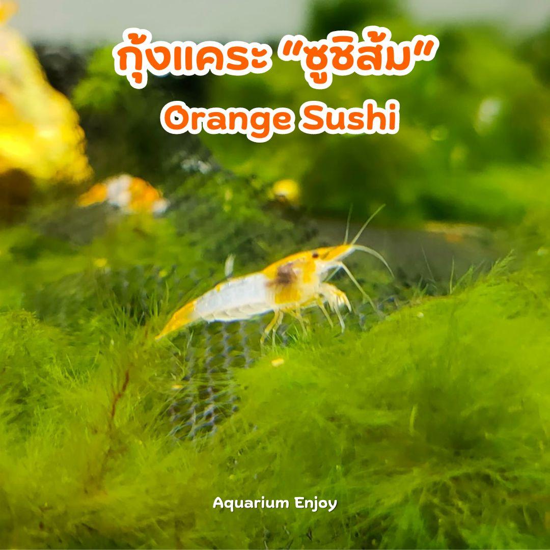 ซูชิส้ม