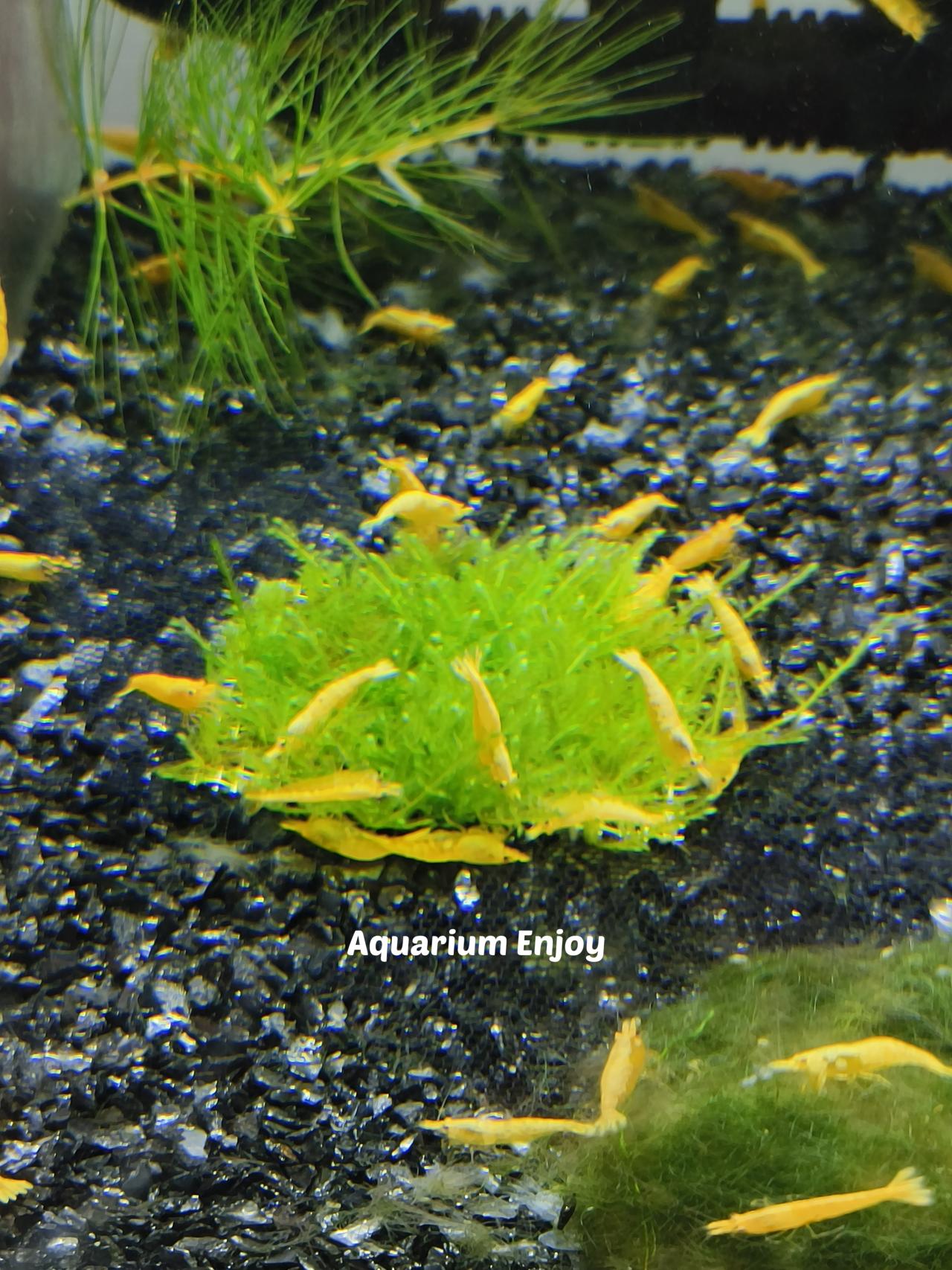 รูปสินค้า