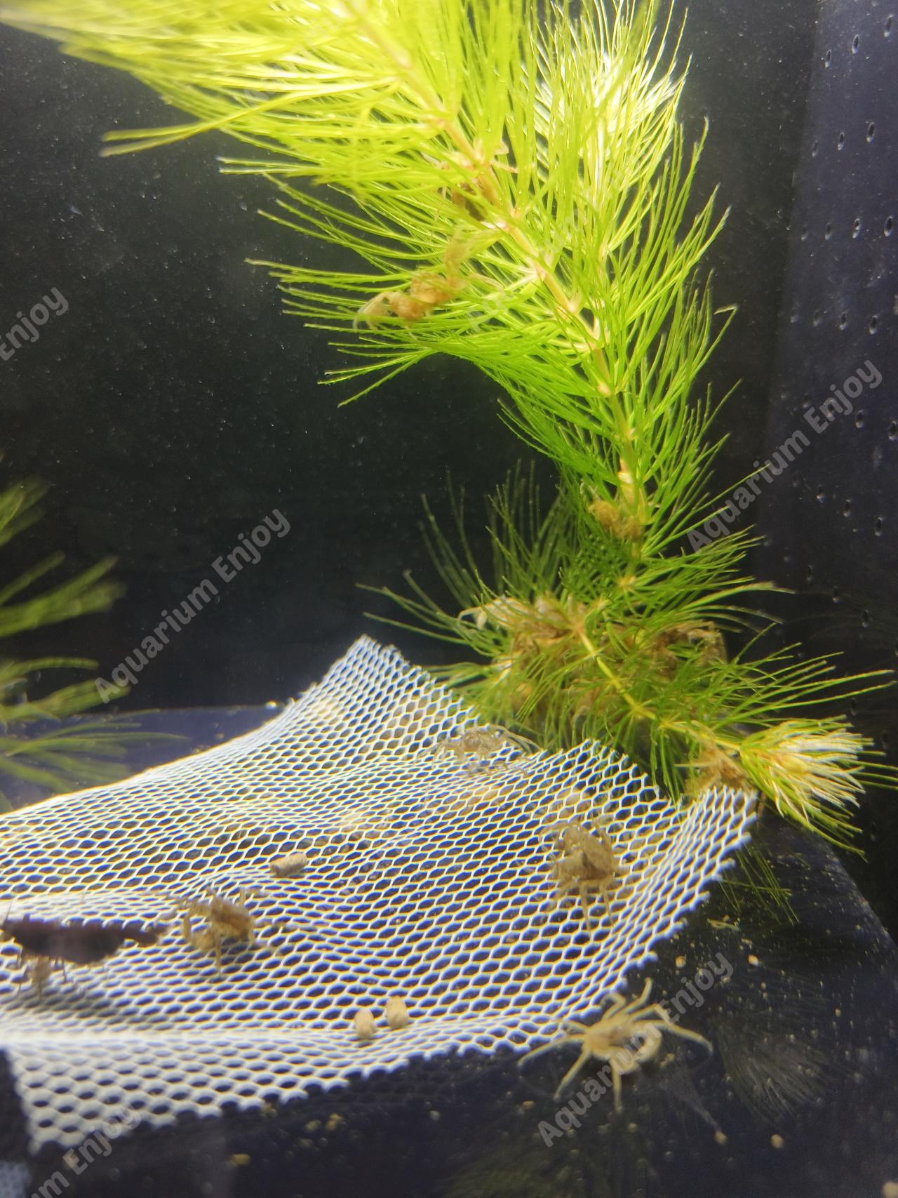 เซ็ต 4 ตัว คุ้มเกิ้น