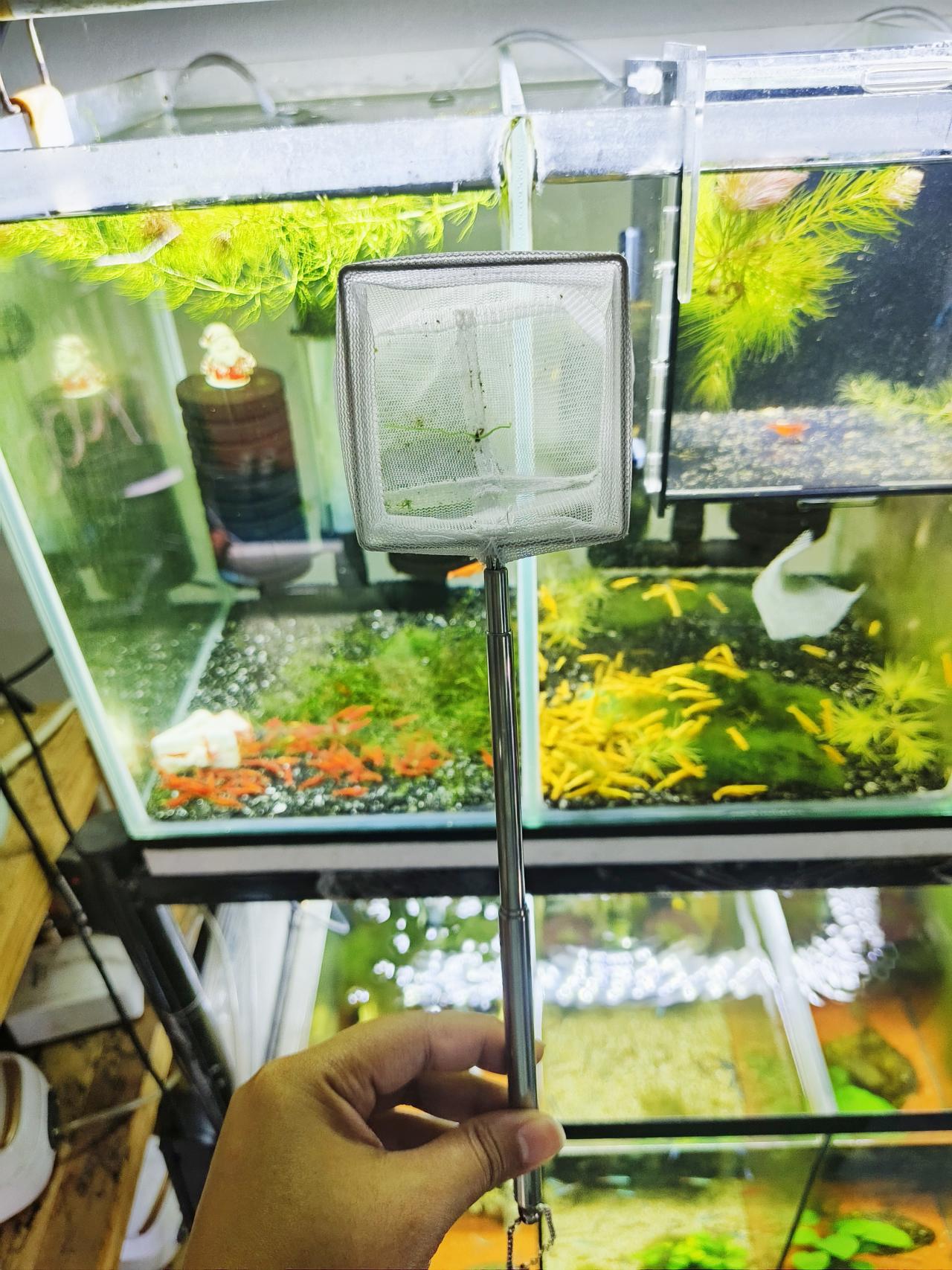 กระชอนอย่างดี