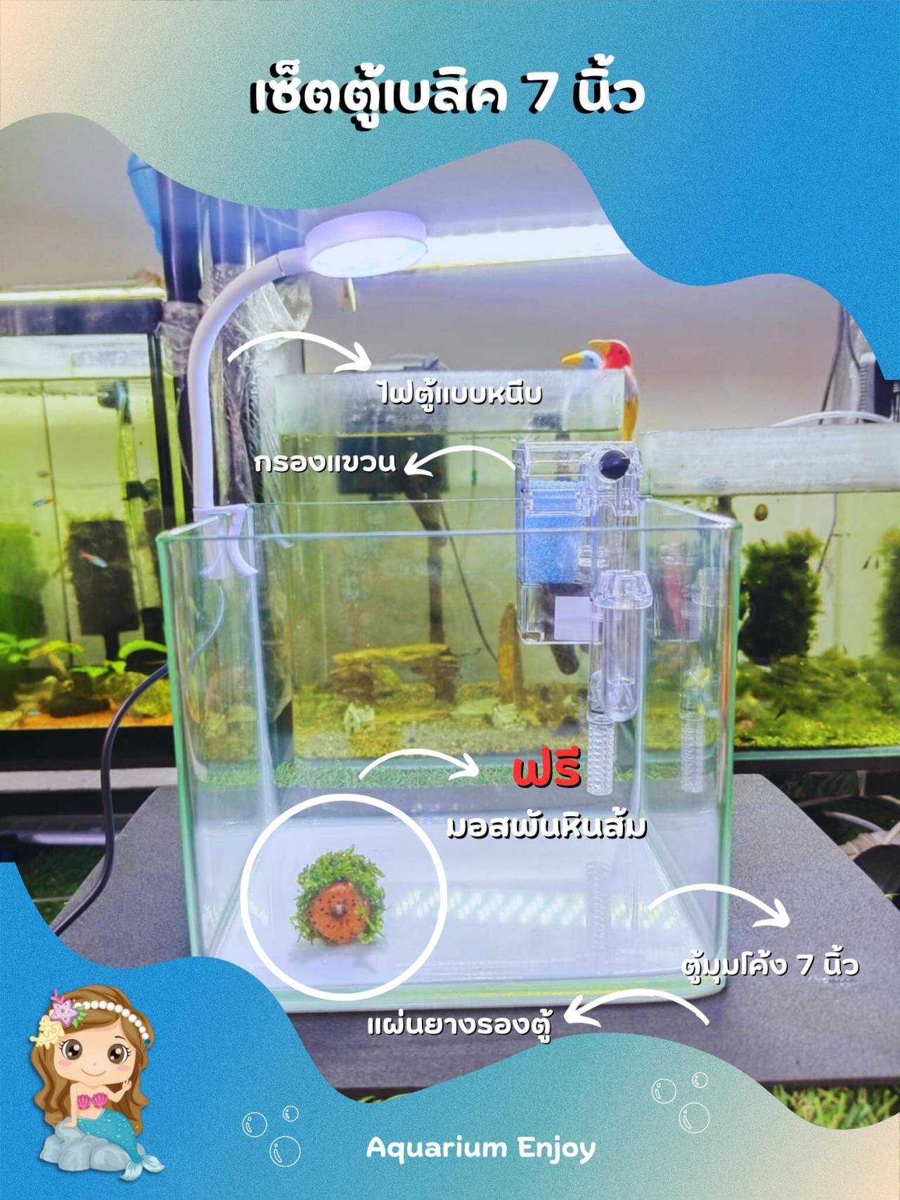 เซ็ตตู้เบสิค7นิ้ว