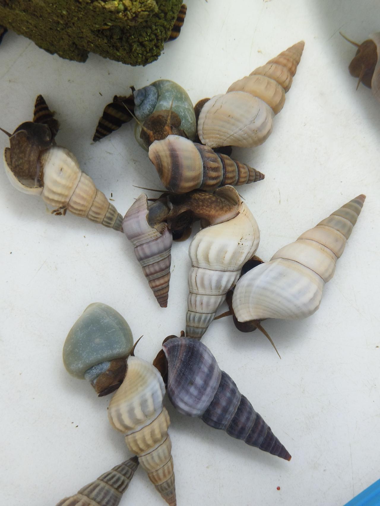 รูปสินค้า