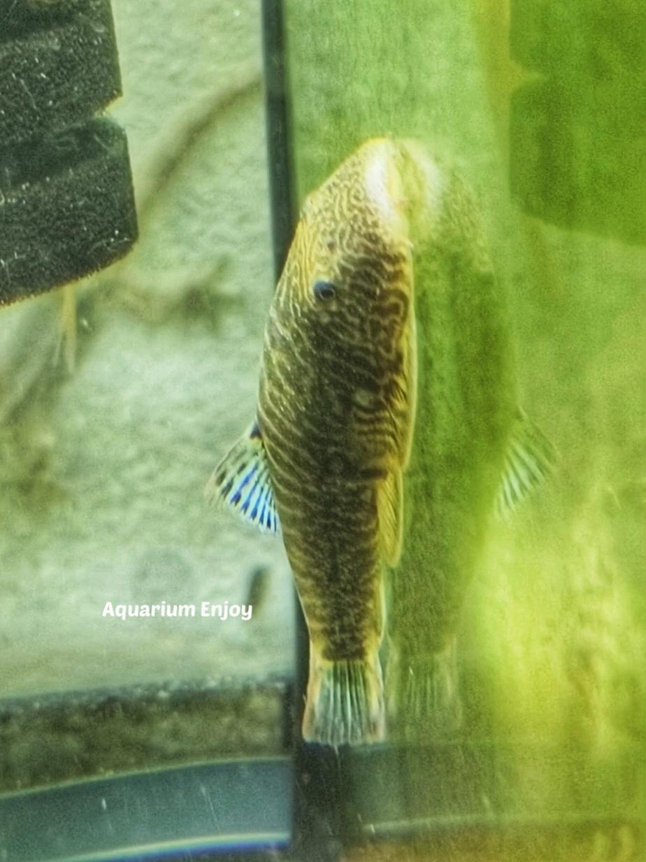 รูปสินค้า