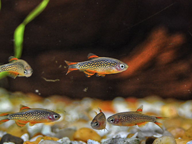 รูปสินค้า