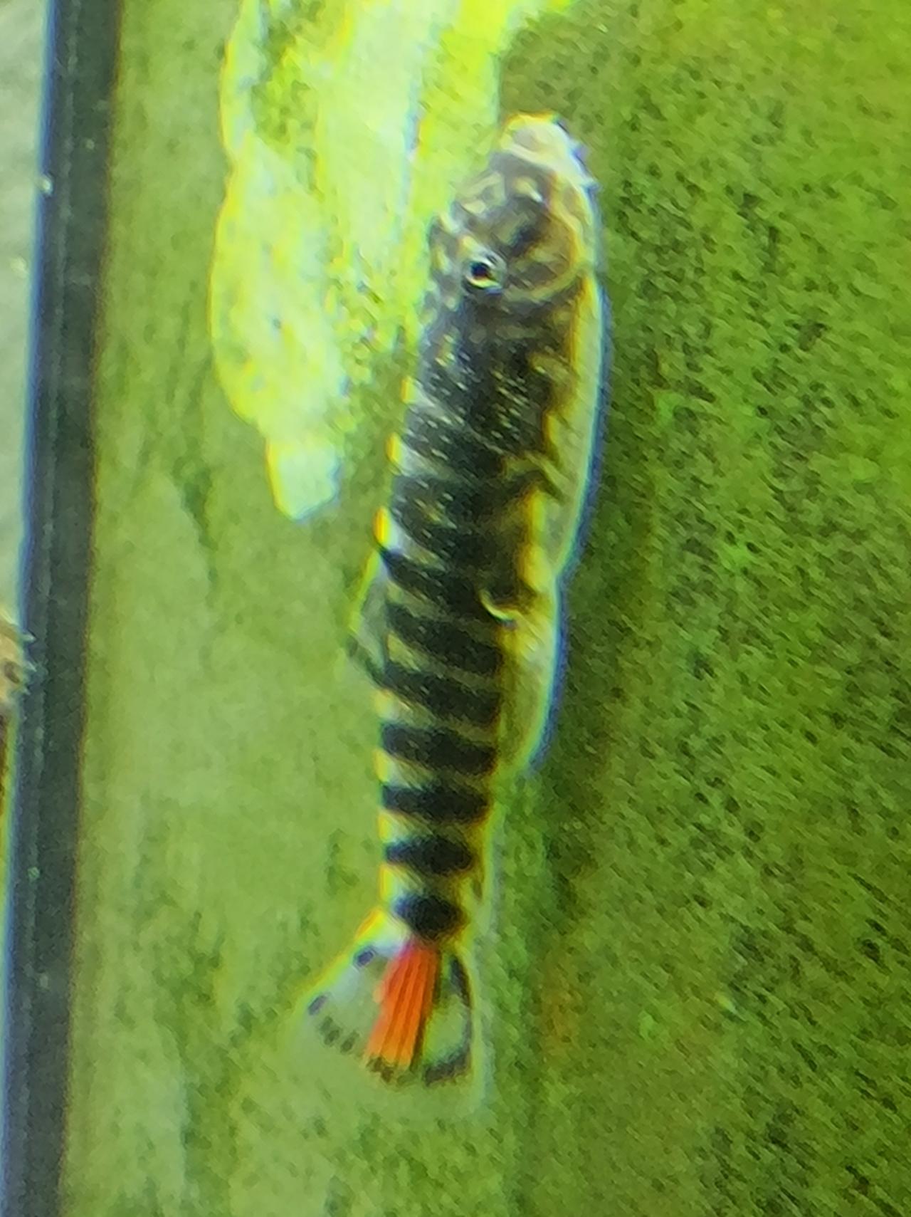 รูปสินค้า