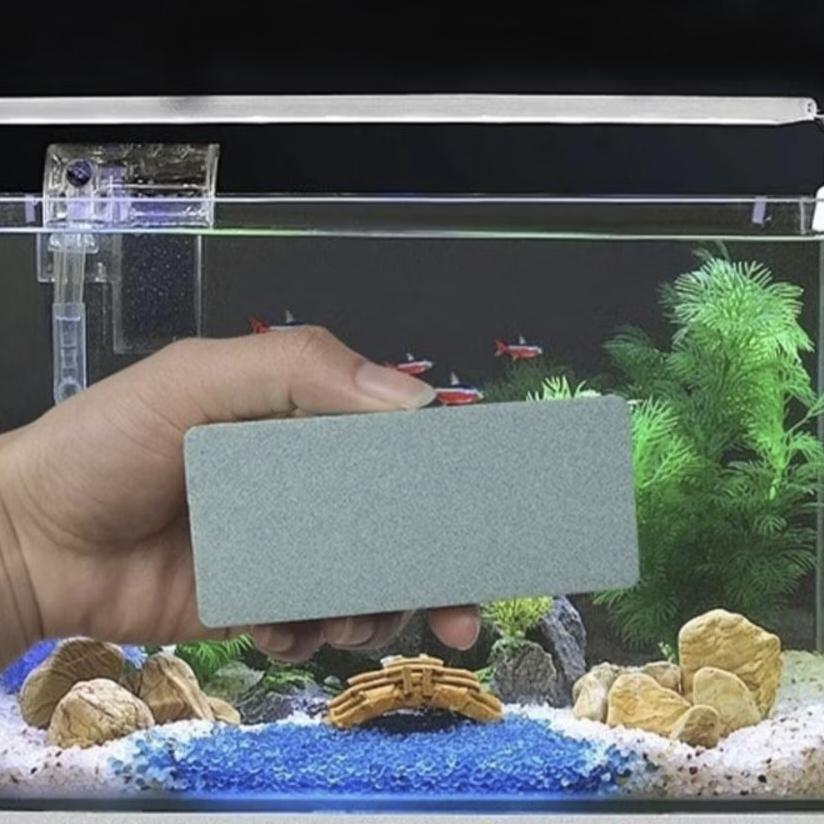 ฟองน้ำขัดตู้ปลา