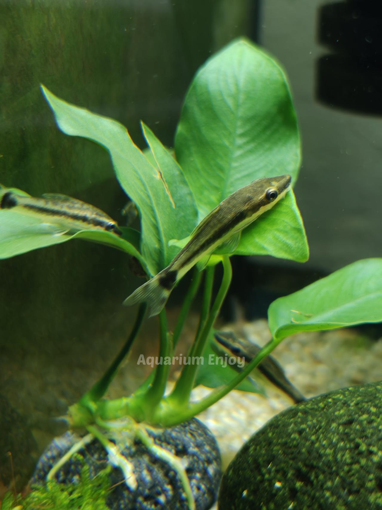 รูปสินค้า