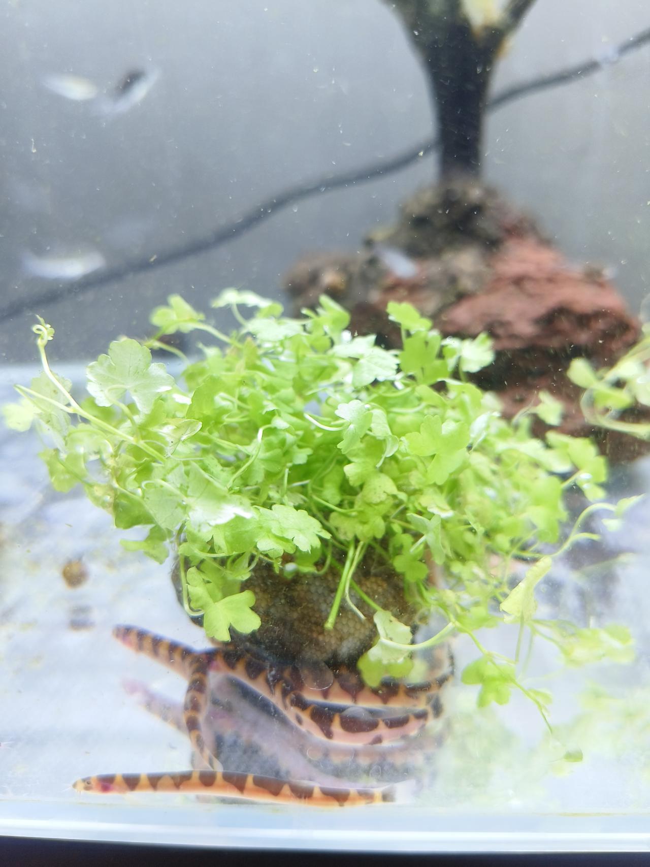 รูปสินค้า