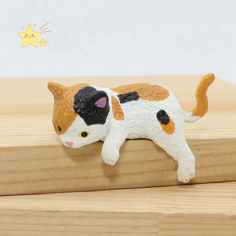 แมวสามสี