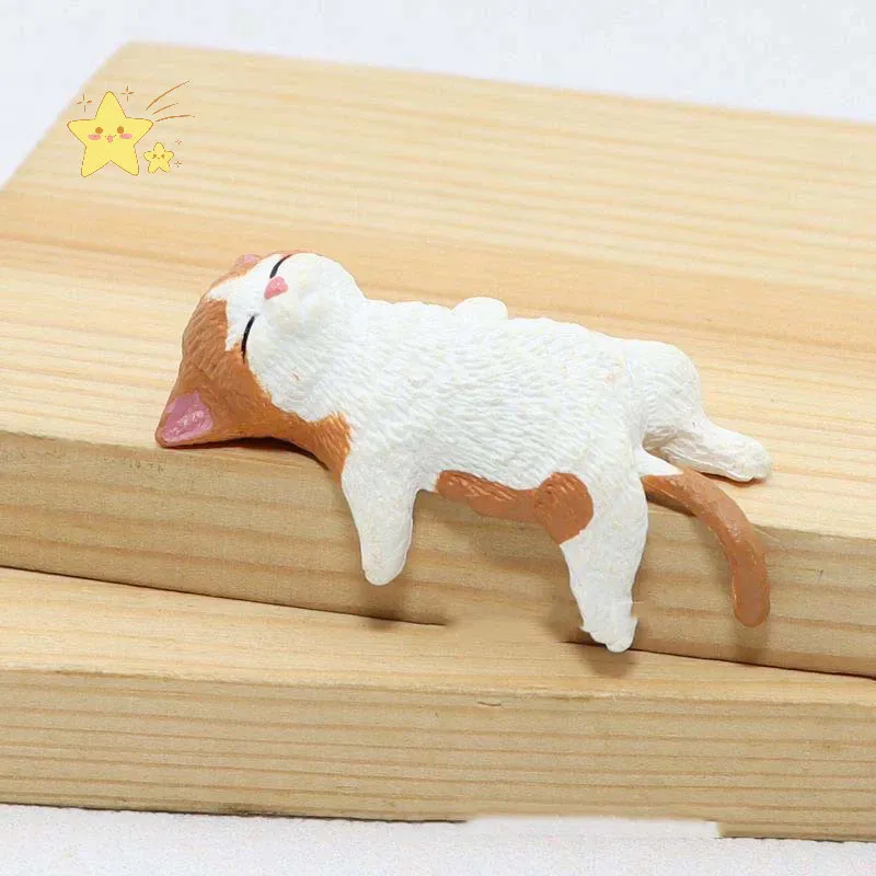 แมวส้มหงาย