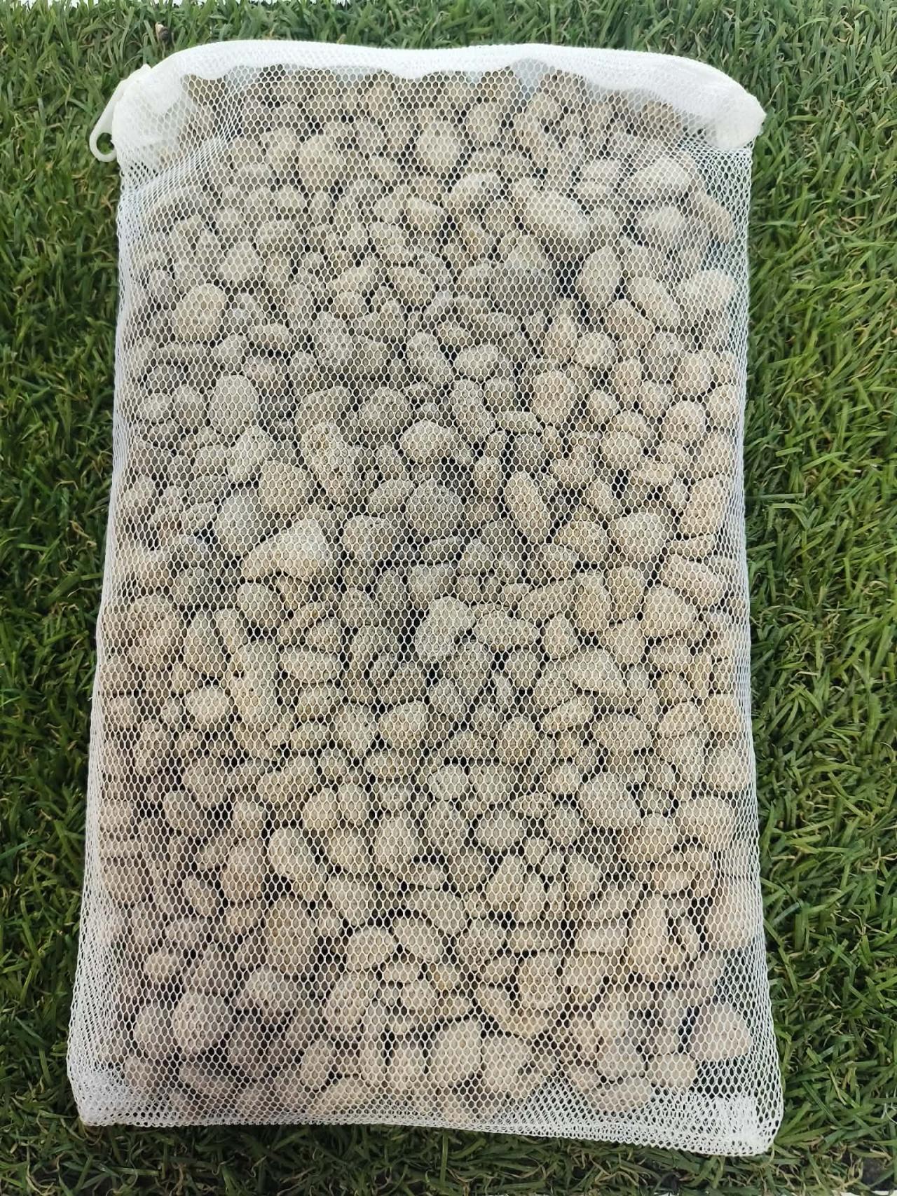 ไซส์กลาง250กรัม