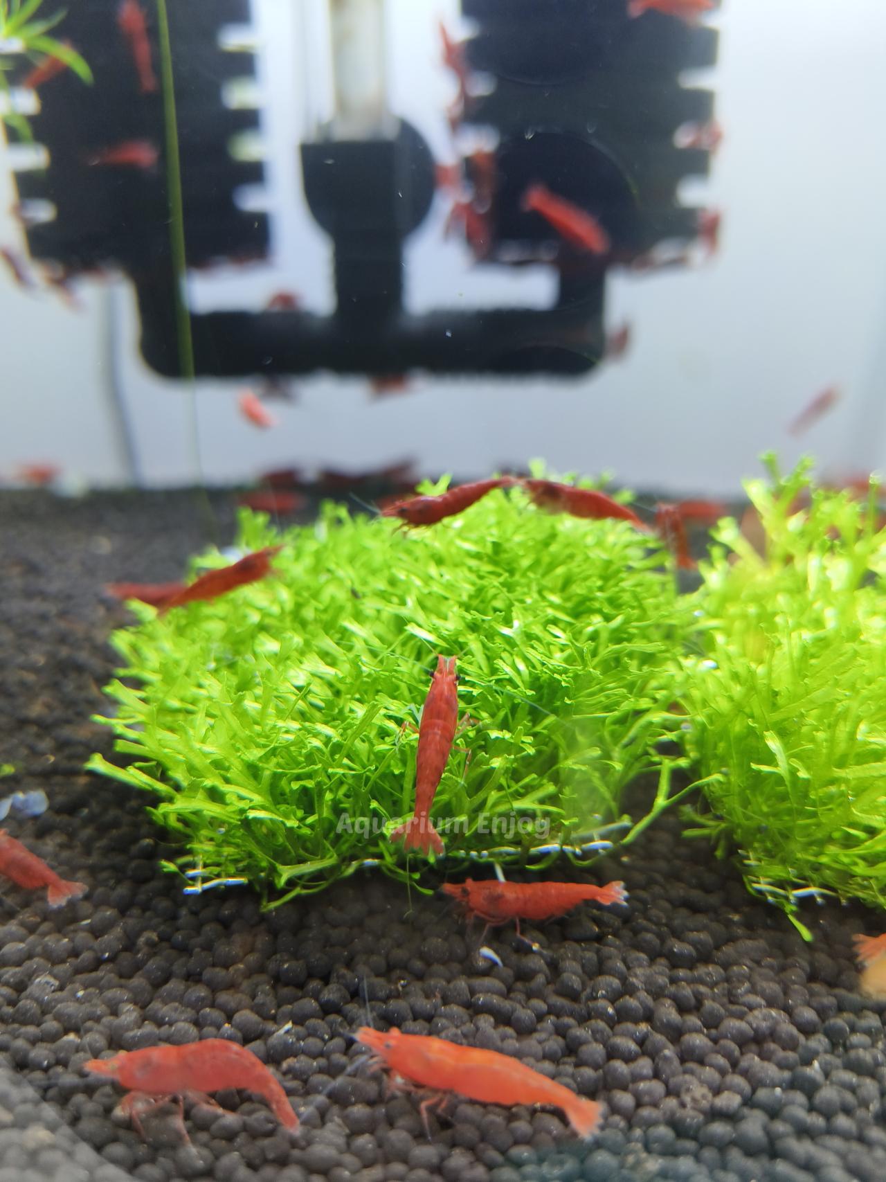 รูปสินค้า