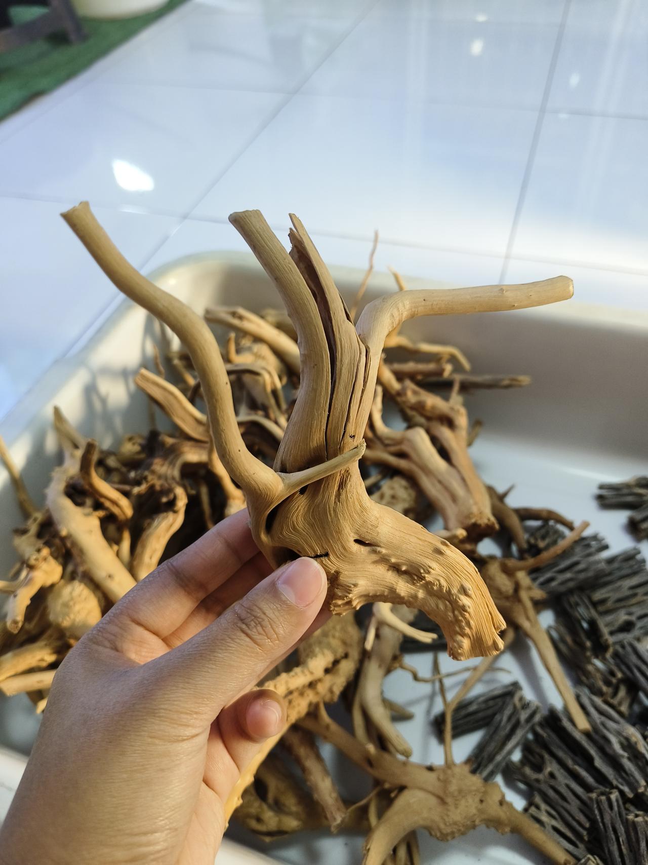 รูปสินค้า