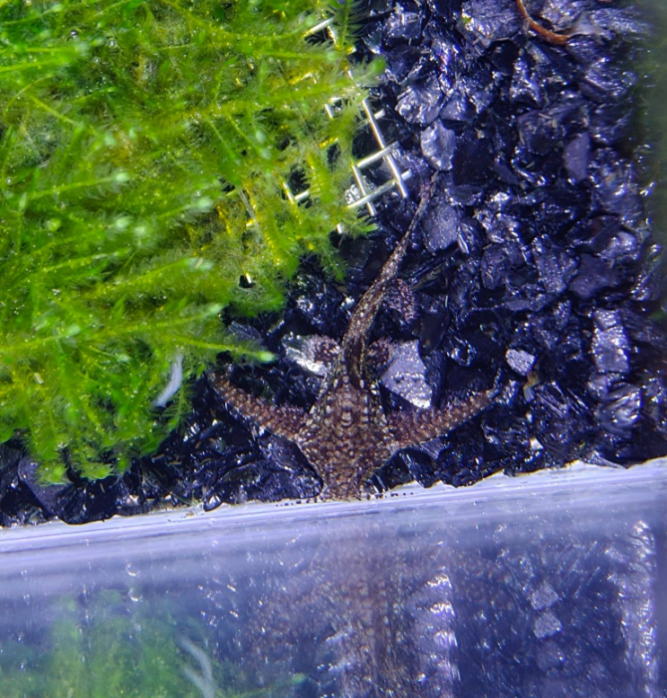 รูปสินค้า