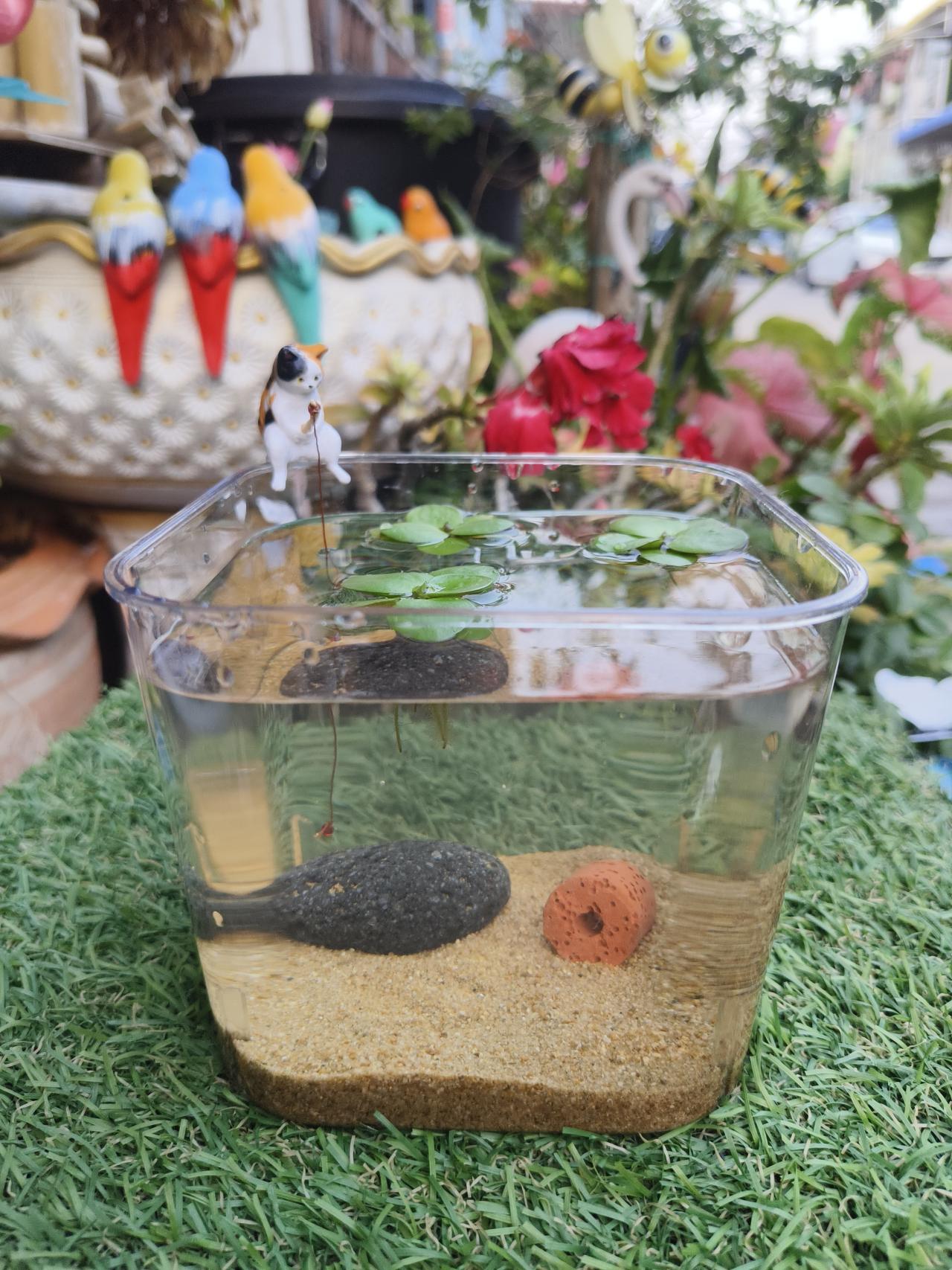 รูปสินค้า