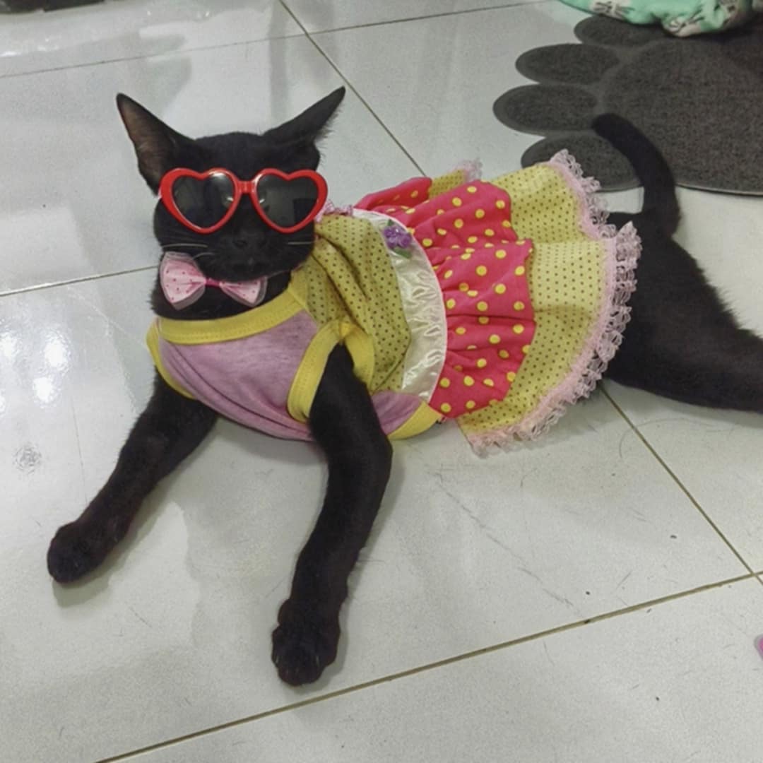 แม่อ้อน
