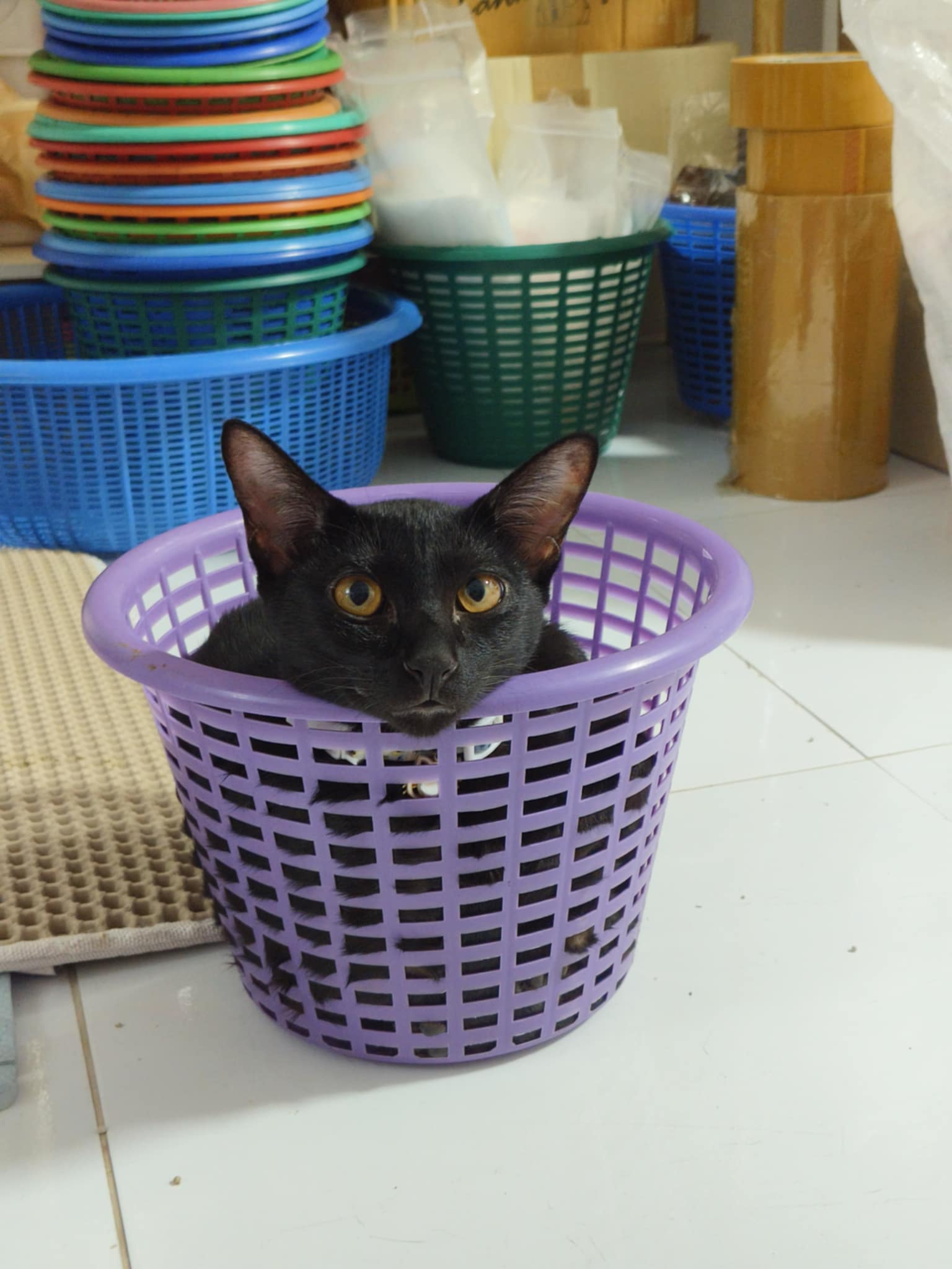 ปลาร้า(ลูกอ้อนแอ้น)