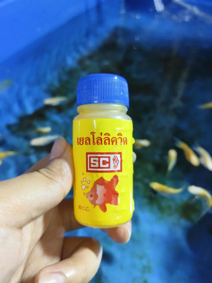 1ชิ้น