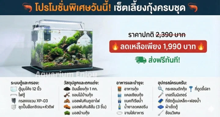 เซ็ตตู้เลี้ยงกุ้ง