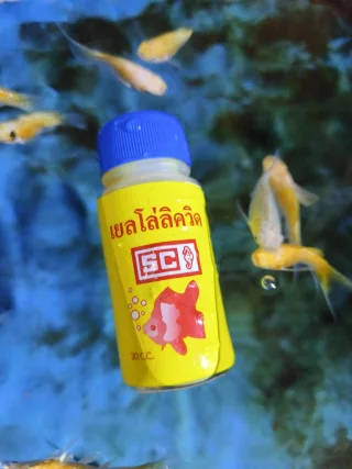 รูปสินค้า